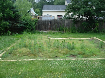 garden-before-planting.jpg