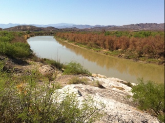 20110427-074358.jpg