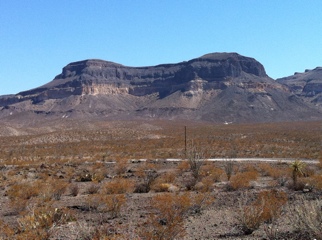 20110427-074427.jpg