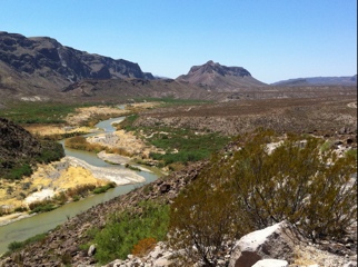 20110427-074437.jpg