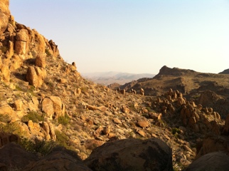 20110429-050320.jpg