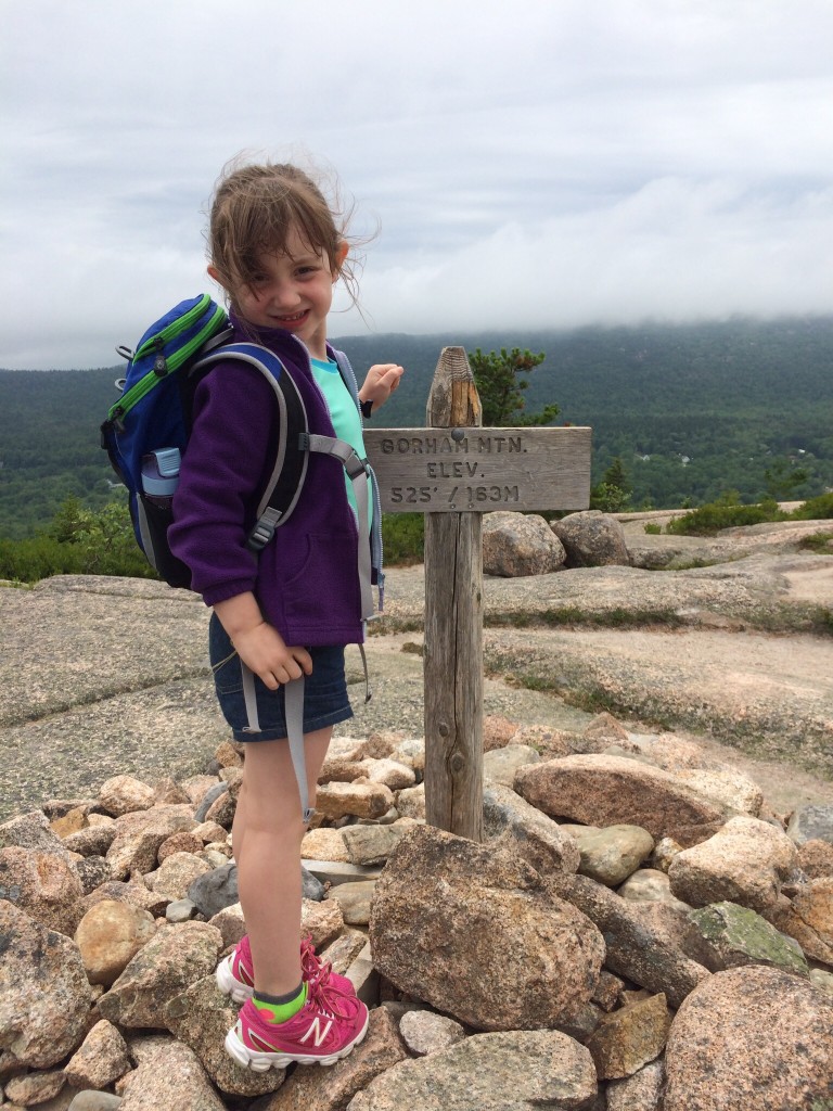 Gorham Mountain